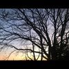 jules_0627